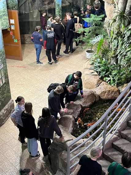 Обучающиеся 8 класса посетили тематическую экскурсию, посвященную строению и разнообразию амфибий и рептилий, новой экспозиции Тульского экзотариума..